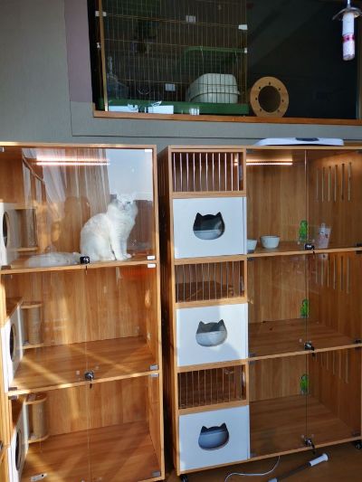 会场座椅家具电焊采购