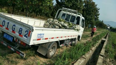 专业未编辑专业未编辑专业未编辑专业