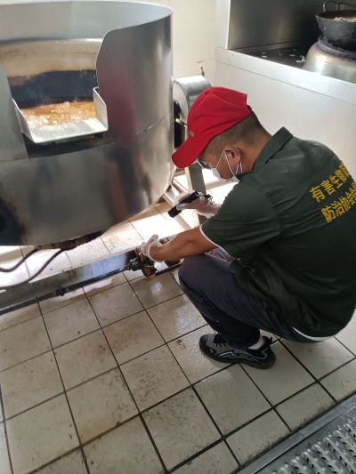 灭鼠除蟑螂蟑螂蚂蚁老鼠蚂蚁白蚁未编辑专业