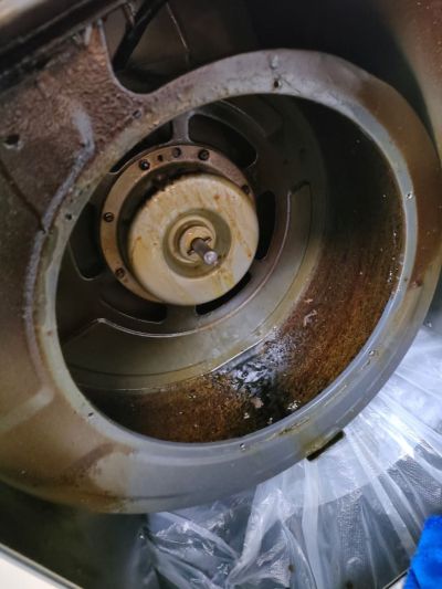 空调清洗油烟机清洗洗衣机清洗冰箱清洁消毒