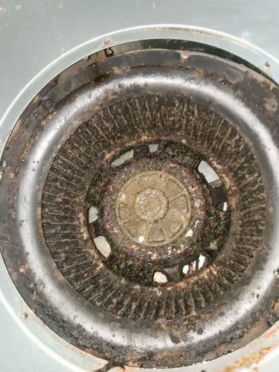 无家政服务专业清洗家电软装清洗