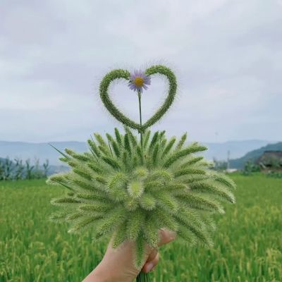 空调暖通热水未编辑专业未编辑专业未编辑专业