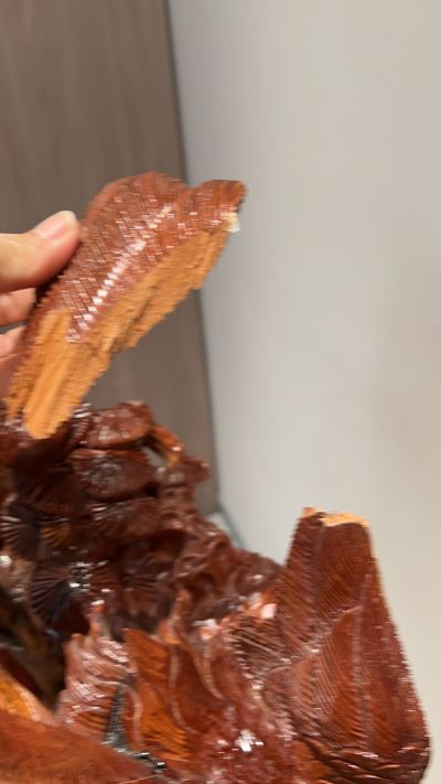 无未编辑专业未编辑专业未编辑专业