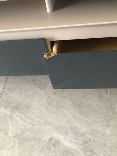 无未编辑专业未编辑专业未编辑专业