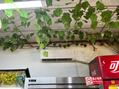 无未编辑专业未编辑专业未编辑专业