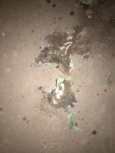 无未编辑专业未编辑专业未编辑专业