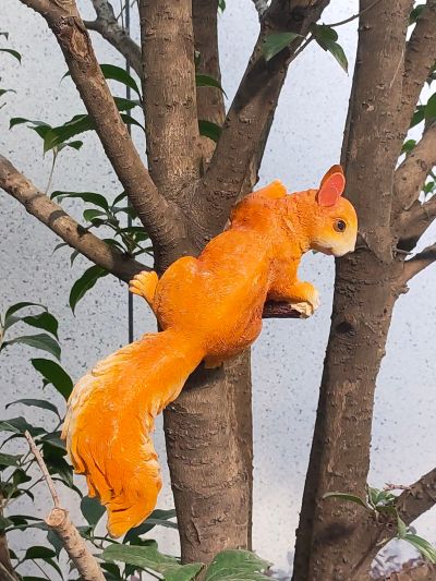 拆除拆除上料承包砸墙美缝 隔断