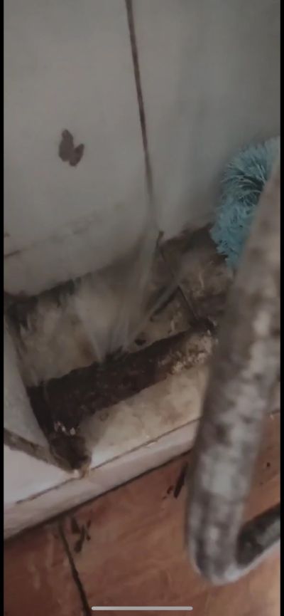 无未编辑专业未编辑专业未编辑专业