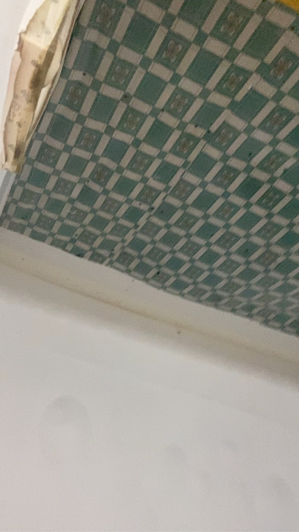 服装未编辑专业未编辑专业未编辑专业