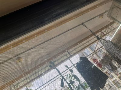 无未编辑专业未编辑专业未编辑专业