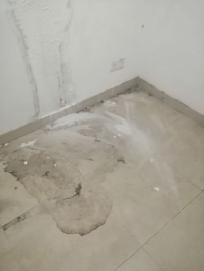 无未编辑专业未编辑专业未编辑专业