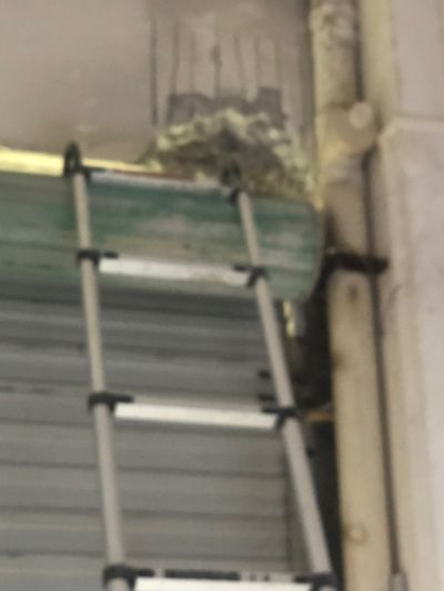 排烟废气净化排风净化工程无未编辑专业