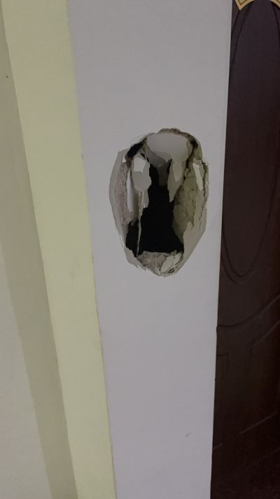 狗狗你们未编辑专业未编辑专业未编辑专业