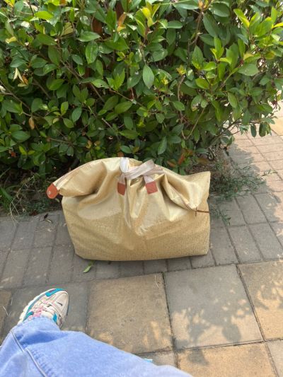 园服未编辑专业未编辑专业未编辑专业