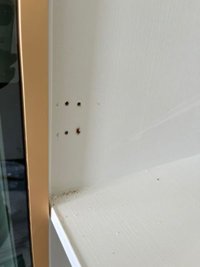 无未编辑专业未编辑专业未编辑专业
