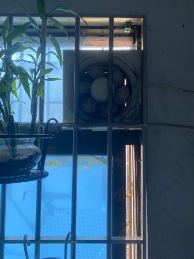 无未编辑专业未编辑专业未编辑专业