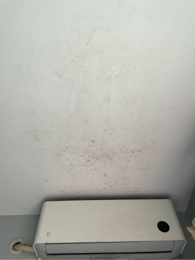 无未编辑专业未编辑专业未编辑专业