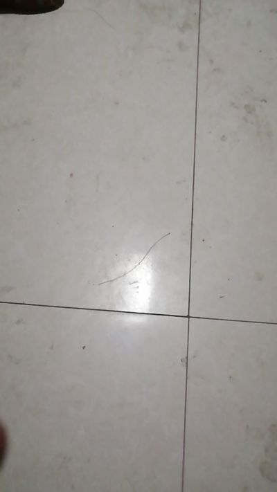 接单未编辑专业未编辑专业未编辑专业