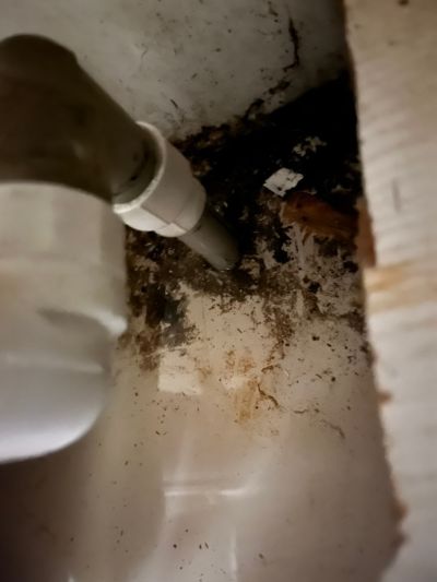 随便未编辑专业未编辑专业未编辑专业