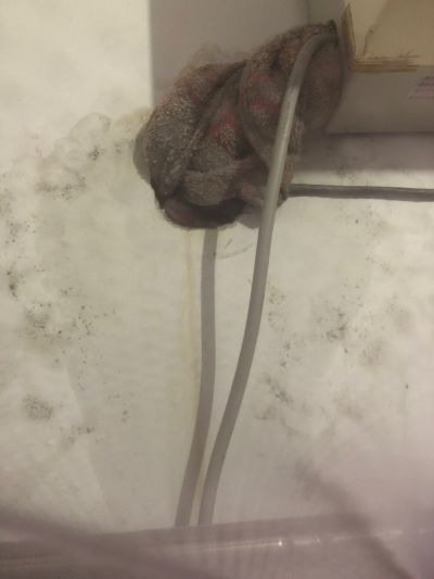 保险未编辑专业未编辑专业未编辑专业