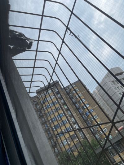 无未编辑专业未编辑专业未编辑专业