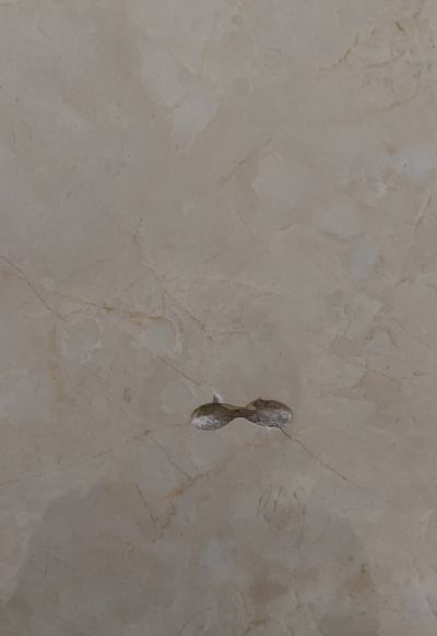 无未编辑专业未编辑专业未编辑专业