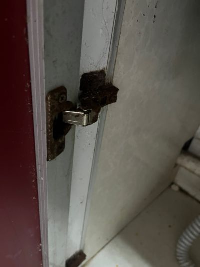 无未编辑专业未编辑专业未编辑专业