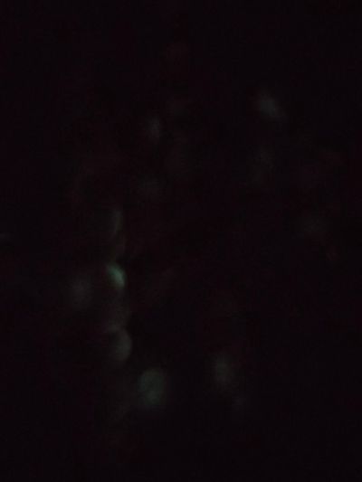 承接冷库无无未编辑专业