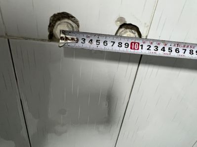 无未编辑专业未编辑专业未编辑专业