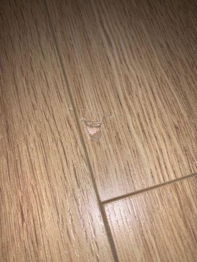无未编辑专业未编辑专业未编辑专业