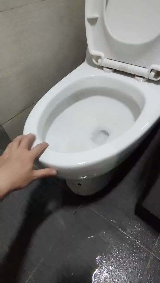 无未编辑专业未编辑专业未编辑专业