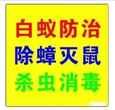 白蚁防治白蚁防治除虫灭鼠环境消杀