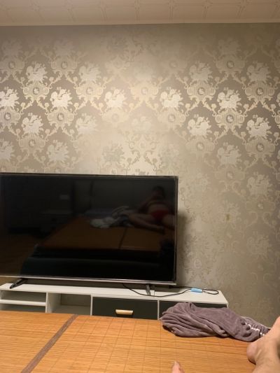 无未编辑专业未编辑专业未编辑专业