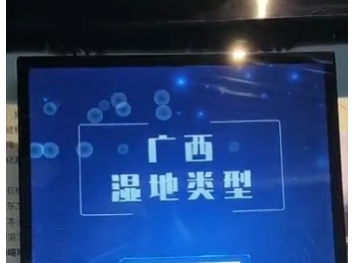 可是鲁德涅未编辑专业未编辑专业未编辑专业