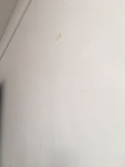 美甲店未编辑专业未编辑专业未编辑专业