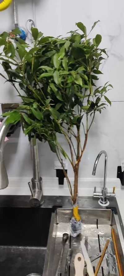 无未编辑专业未编辑专业未编辑专业