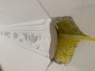 无未编辑专业未编辑专业未编辑专业