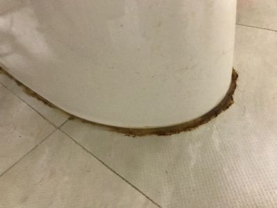 无未编辑专业未编辑专业未编辑专业
