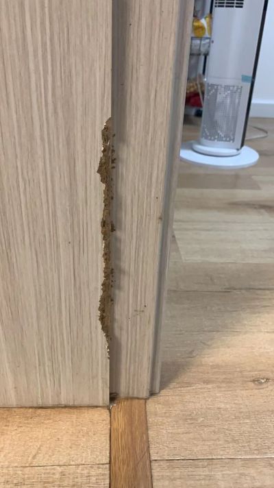 宠美未编辑专业未编辑专业未编辑专业