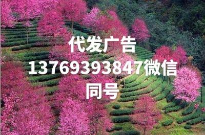 传媒信息传媒信息传媒未编辑专业