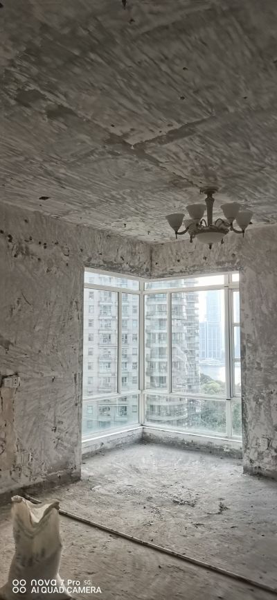 各类杂活铲墙皮装卸车搬家各类搬运未编辑专业