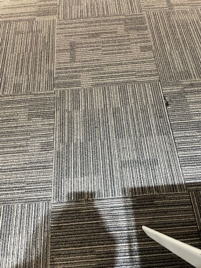 无未编辑专业未编辑专业未编辑专业