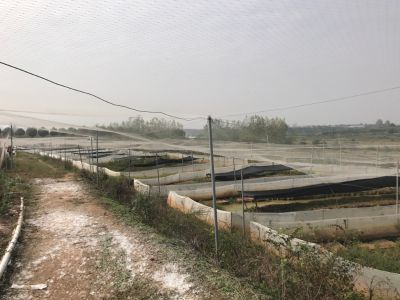 施工项目经理未编辑专业未编辑专业未编辑专业