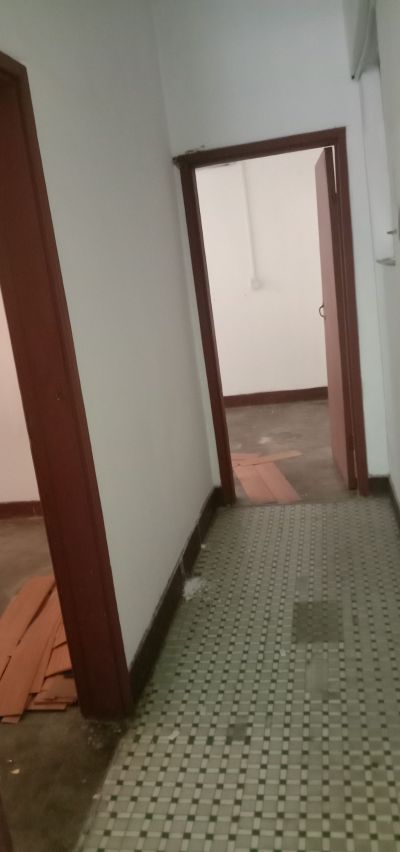 无无未编辑专业未编辑专业