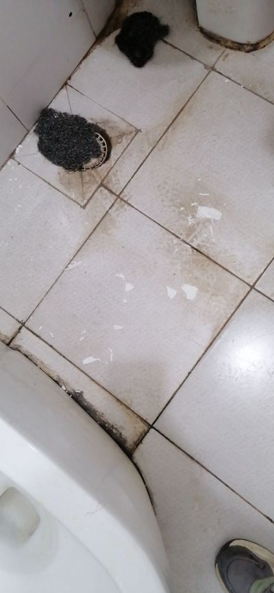 瓷砖美缝水电未编辑专业未编辑专业未编辑专业