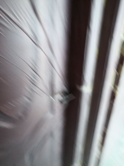 绿化工程无无无