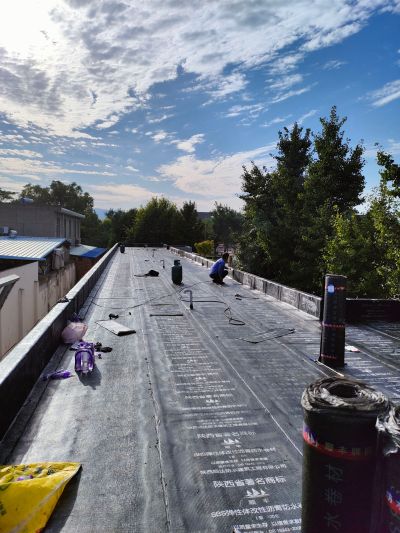 防水室内外防水苗木绿化装修及材料