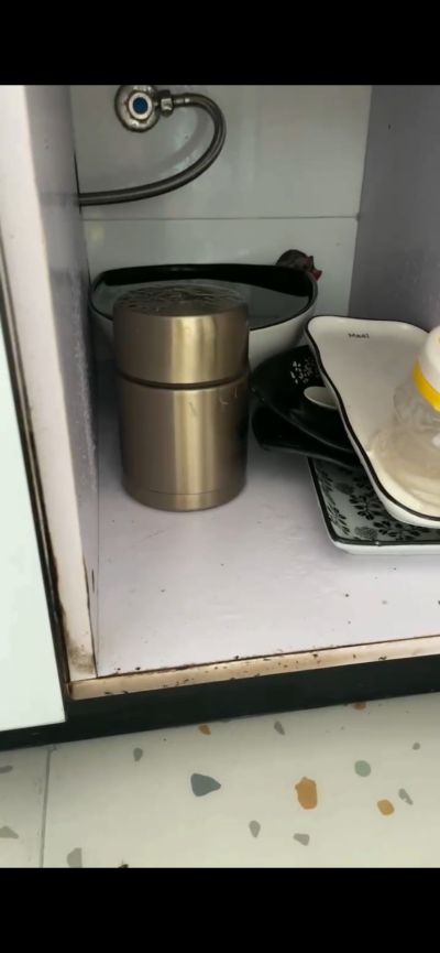 无未编辑专业未编辑专业未编辑专业