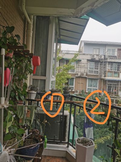 无未编辑专业未编辑专业未编辑专业