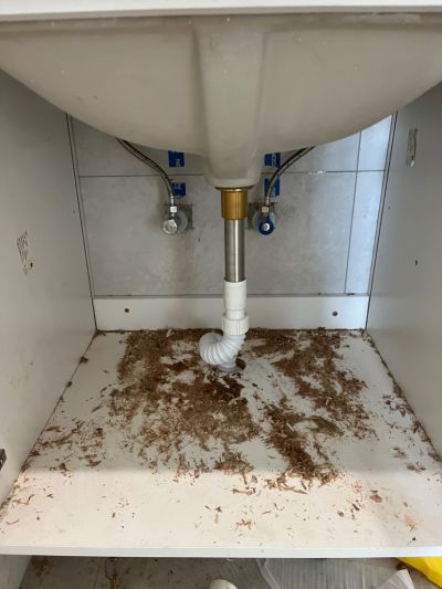 无未编辑专业未编辑专业未编辑专业